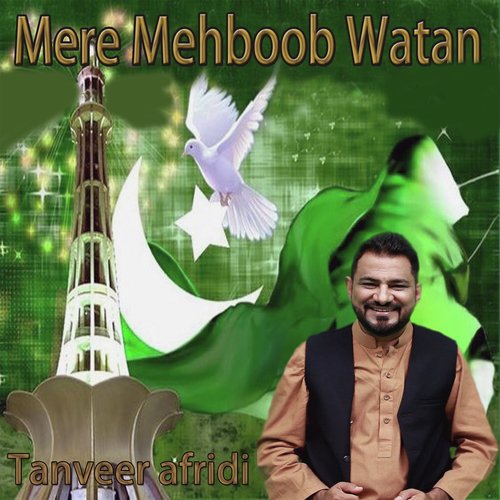 Hum Se Pehle Bhi - Tanveer Afrid
