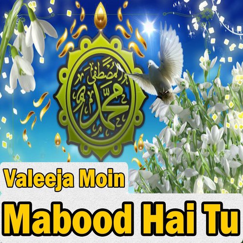 Fariyad Hai Ya Ghous - Valeeja Moin