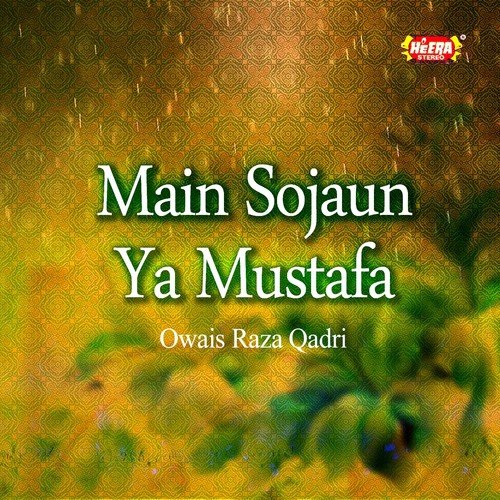 Bakht-e-Khusta Ne Mujhe - Alhajj Muhammad Owais Raza Qadri