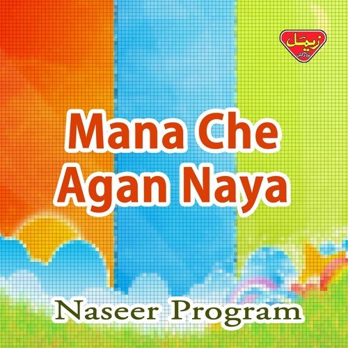 Salonki Koshan Wash - Naseer Program