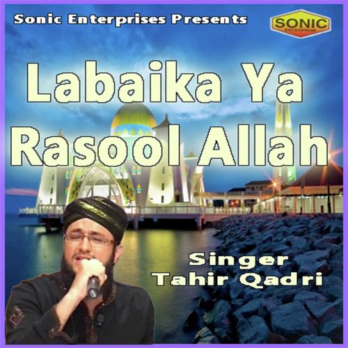 Jitna Diya Sarkarne Mujhe Ko - Tahir Qadri