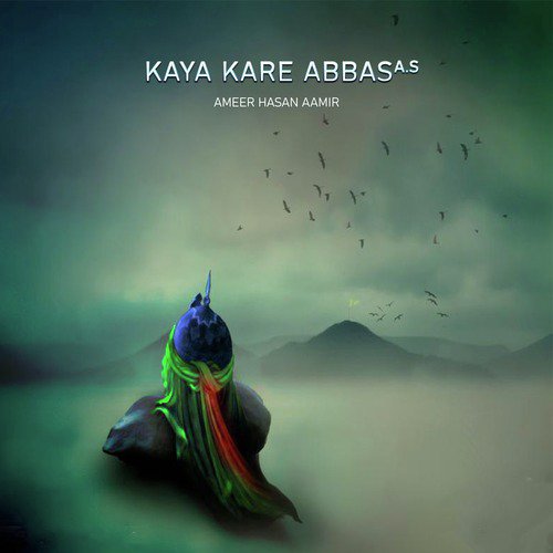 Kaya Kare Abbas - Ameer Hasan Aamir