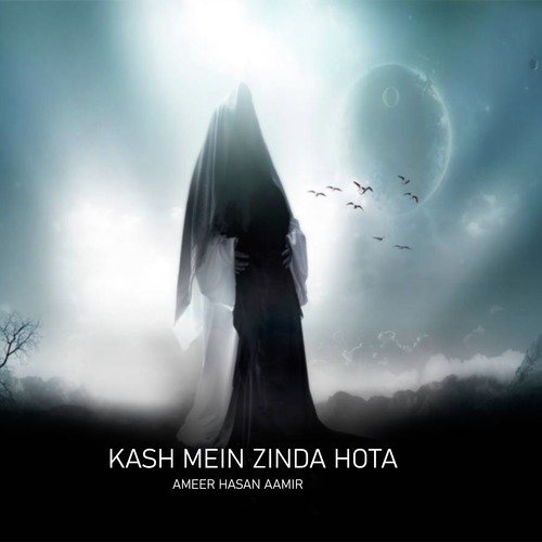 Kash Mai Zinda Hota - Ameer Hasan Aamir