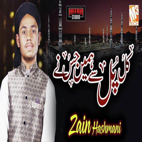 Kal Pul Se Hamein - Zain Hashmani