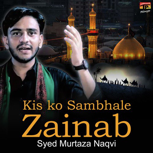 Kis ko Sambhale Zainab - Syed Murtaza Naqvi