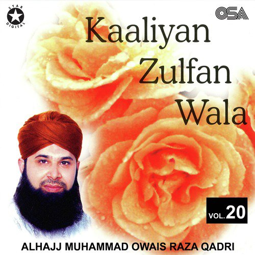 Nabi Ka Aastan Ho Aur Mera Sar Ho - Alhajj Muhammad Owais Raza Qadri