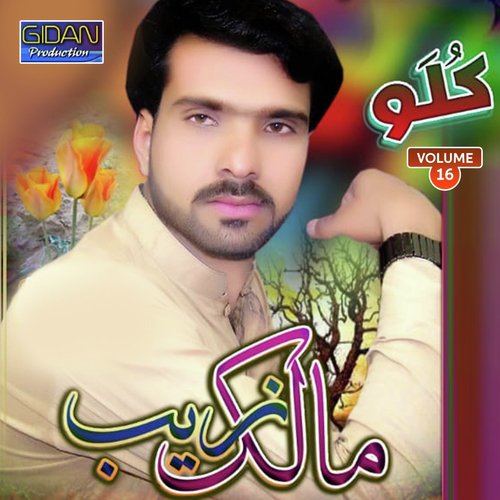 Waldana Ni Bar - Malik Zaib