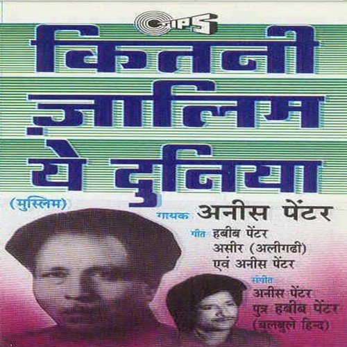 Zamane Se Behtar Hamara Watan Hai - Habib Painter