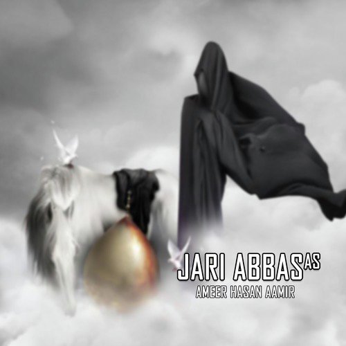 Aiesa Lagta Hai Hasan - Ameer Hasan Aamir
