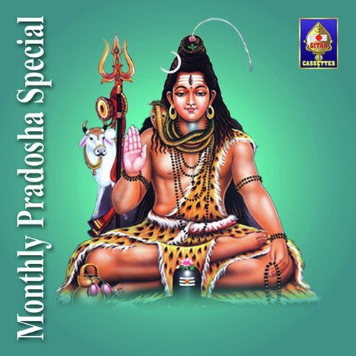 Shiva Panchaakshara Stotram - Shiva Poojai - Various Artists