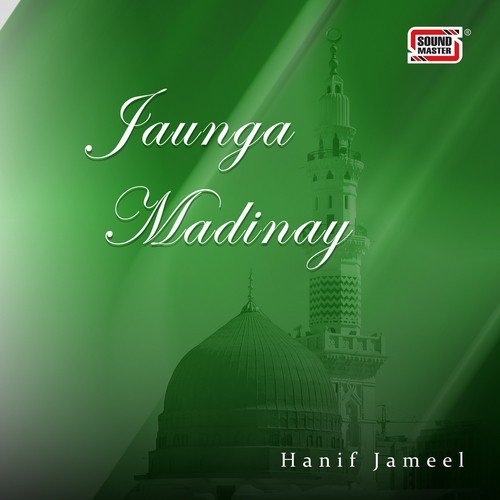 Wahab Shah Jilani - Hanif Jameel