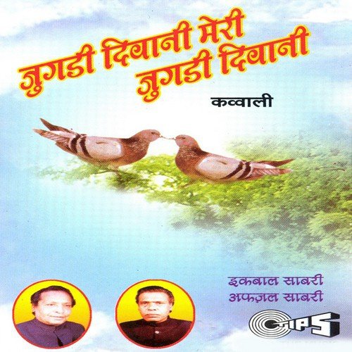 Kaise Kahoon Zamane Se - Various Artists