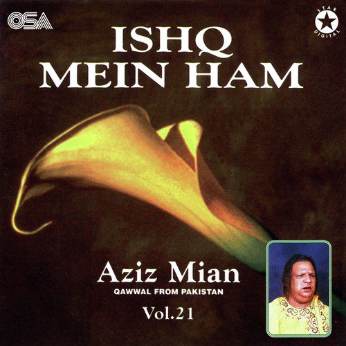 Ishq Mein Ham Tumhein Kya Batayen - Aziz Mian