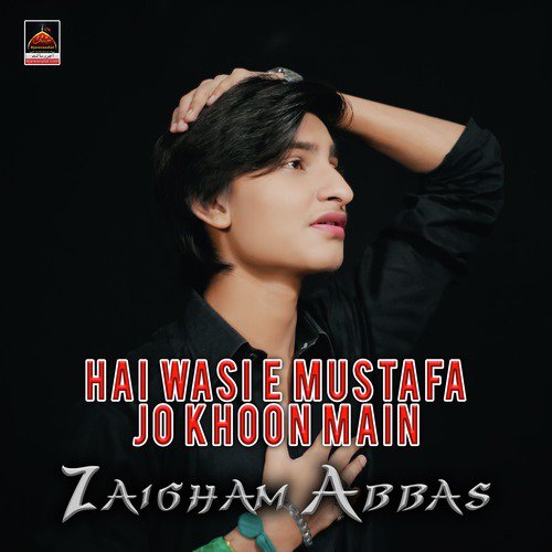 Hai Wase e Mustafa Jo Khoon Main - Zaigham Abbas