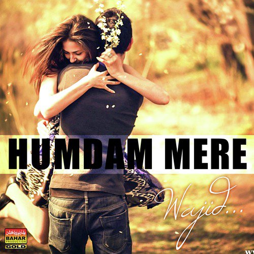 Humdam Mere - Wajid