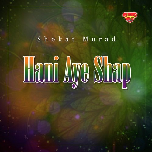 Biya Salonk - Shokat Murad