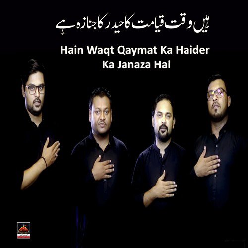 Hain Waqt Qaymat Ka Haider Ka Janaza Hai - Various Artists