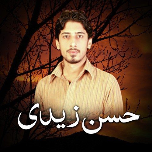 Neend Aati Nahin - Hasan Zaidi