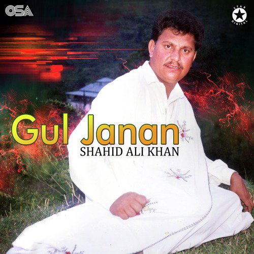 Interlude - Shahid Ali Khan
