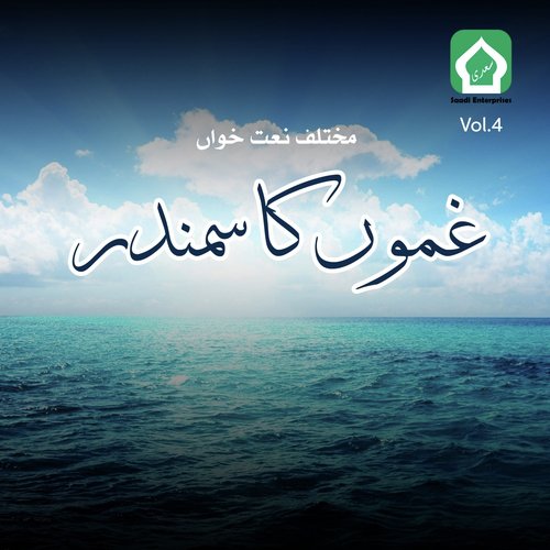 Ik Rooz Humain - Various Artists