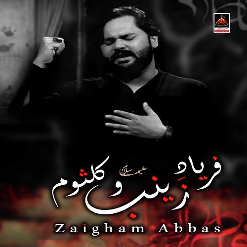 Faryaad e Zainab o Kulsoom s.a - Zaigham Abbas