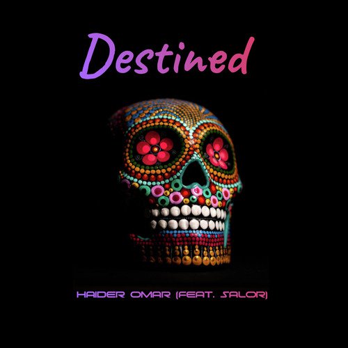 Destined - Haider Omar, Salor
