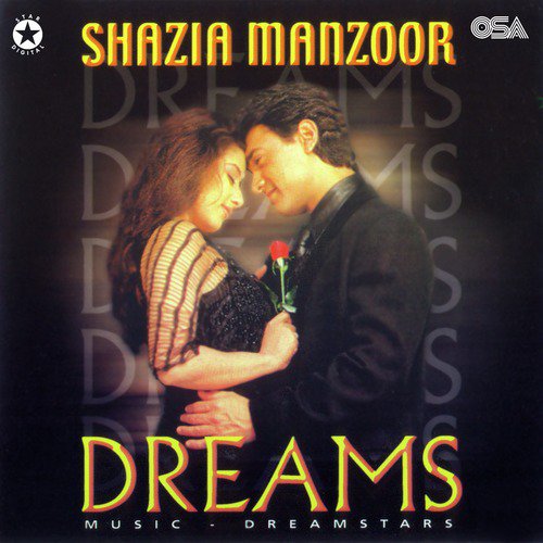 Pyar Ka Dhandha (Instrumental) - Shazia Manzoor, Dreamstars
