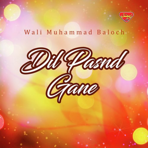 Jane Man Jaan - Wali Muhammad Baloch