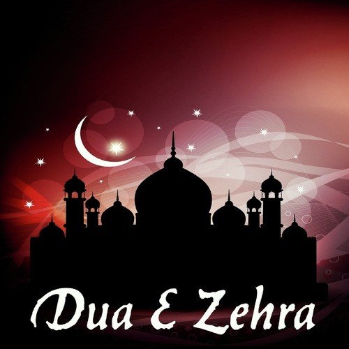 Hum duaiye zehra hai - Ansar Nayab