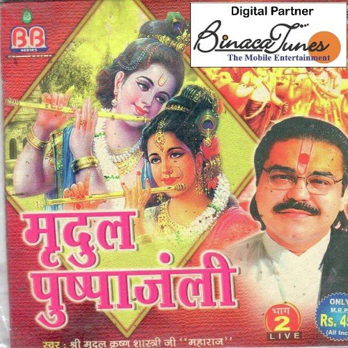 Re Mann Krishna Krishna Keh - Mridul Krishna Shastri
