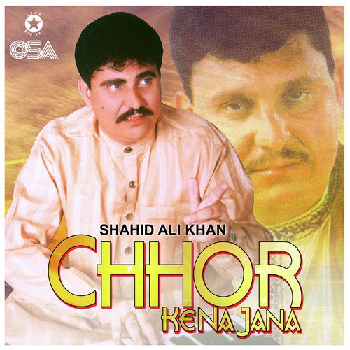 Mere Gham Ki Kahani Thi - Shahid Ali Khan