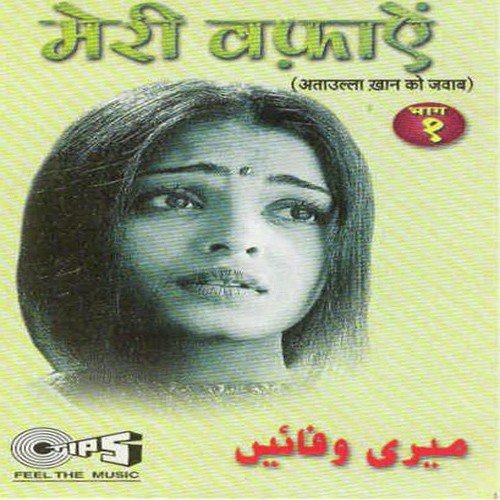 Tujhko Dafnakar Woh Jab Vapas Aayenge - Narendra Maharshi