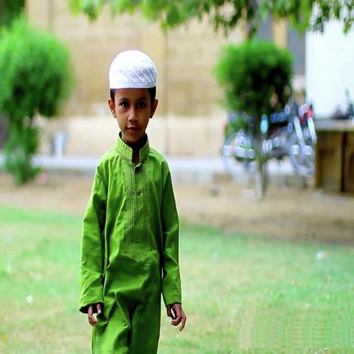 Banunga Main Hafiz-e-Quran - Hammad Roohani