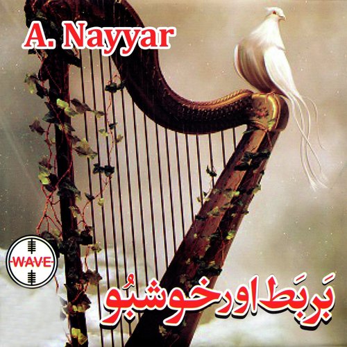 Tughe Khudawand Ne Chun lia - A. Nayyar