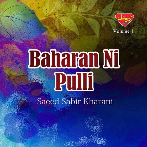 Gule Nargis Gule Bataan - Saeed Sabir Kharani