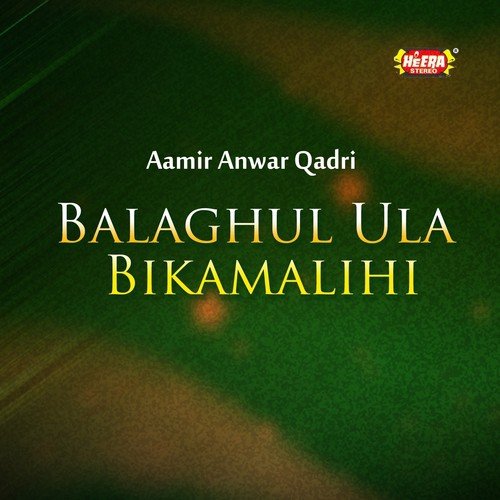 Shah e Madina - Aamir Anwar Qadri