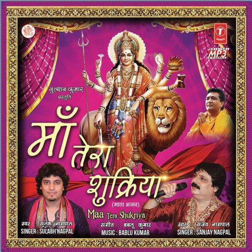 Sheranwali Ke Darbaar - Various Artists
