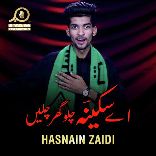 Loo Aagaye Ali - Hasnain Zaidi