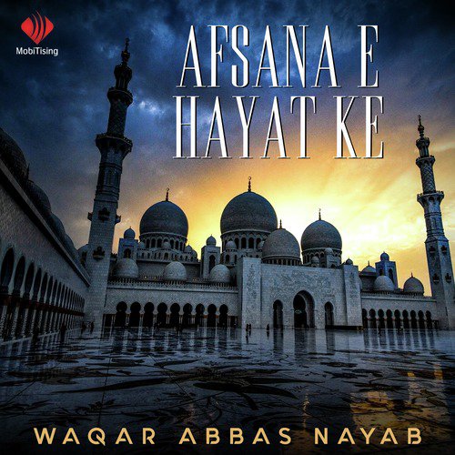 Afsana E Hayat Ke - Waqar Abbas Nayab