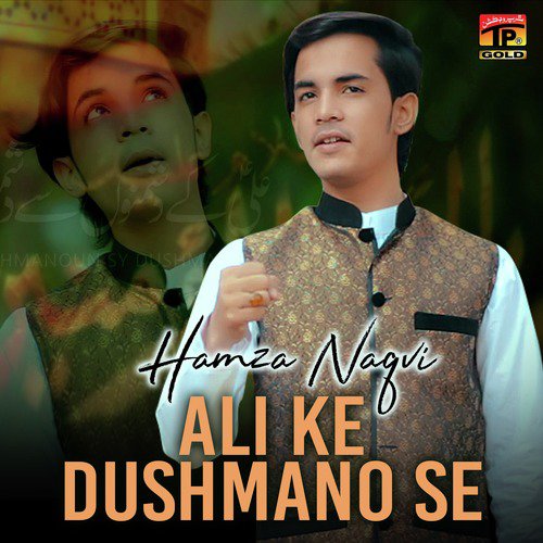 Koi Tujh Sa Kahan Ya Hussain - Hamza Naqvi