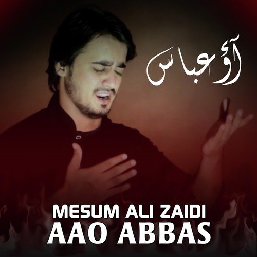 Turbat Mere Abbas - Mesum Ali Zaidi