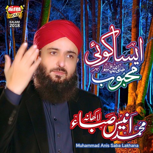 Aisa Koi Mehboob - Muhammad Anis Saba Lakhana