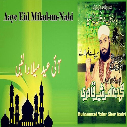 Tu Malik e Dojahan Hai - Muhammad Amir Sher Qadri