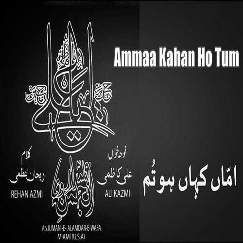 Sun Le Baba Sughra Dia Haanvan - Ali Kazmi