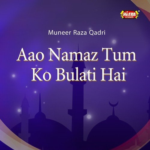 Bakhud Kiye Dete Hain - Muneer Raza Qadri