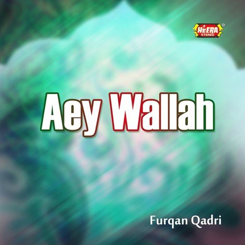 Allah Ki Raza Hai - Furqan Qadri