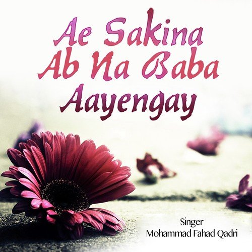 Ae Sakina - Mohammad Fahad Qadri, Nadeem