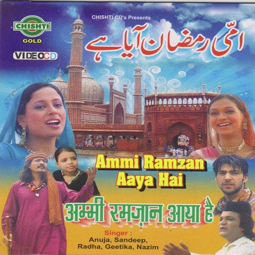 Rozadar Gor Se Sun Lo - Various Artists