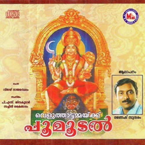 Sruthilayathaalangal - Various Artists