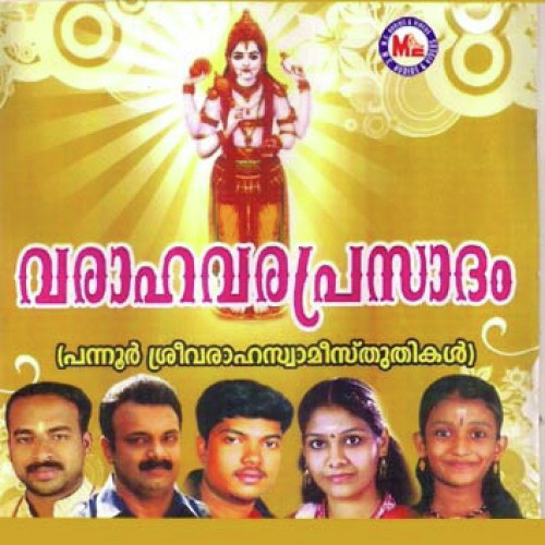 Pannuramarnnidum - Various Artists